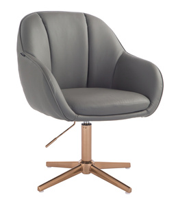 HR2055CROSS Szürke Modern Műbőr Szék Aany lábbal